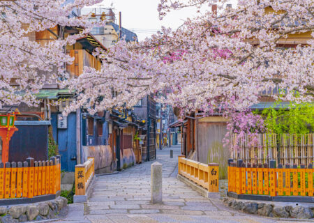 I want to visit in spring with a rental kimono! Introducing famous cherry blossom spots around Gion Shijo Station