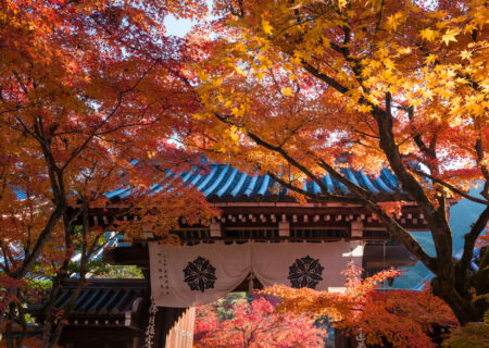 Kimono rental recommended walking course to enjoy autumn leaves around Gion