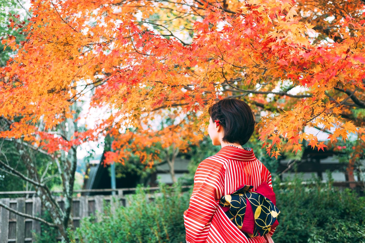 enjoying-lace-kimono-in-kyoto-a-fusion-of-tradition-and-modernity