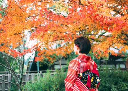 京都の紅葉シーズンに着物レンタルならわぷらす京都へ