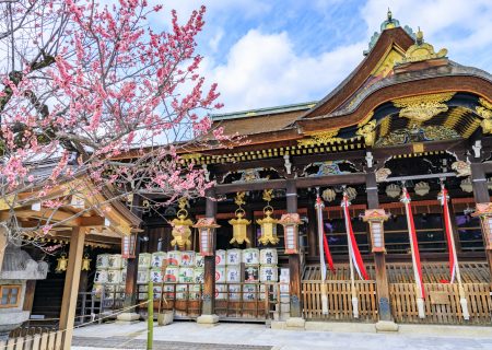 Kyoto kimono rental at Kitano Tenmangu, a shrine of learning famous for its plum blossoms and autumn leaves