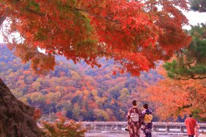 浴衣レンタルにぴったりな京都・嵐山のフォトスポット