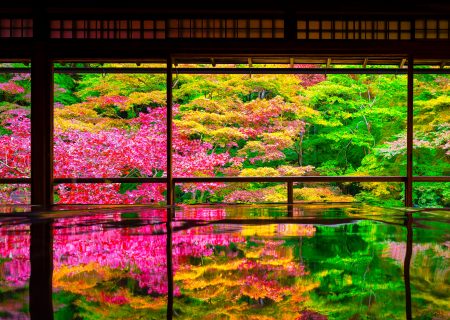 秋の京都旅行で着物レンタルするなら知っておきたいとっておき情報