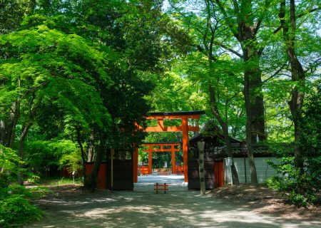 Recommended spots for school trips! A hidden gem in Kyoto where you can wear kimono/Kawai Shrine