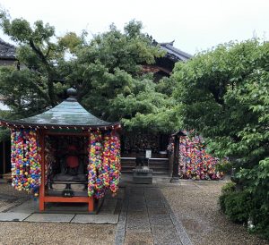 京都の街を着物で散策🍁