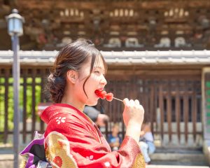 紅葉に誘われて京都散歩
