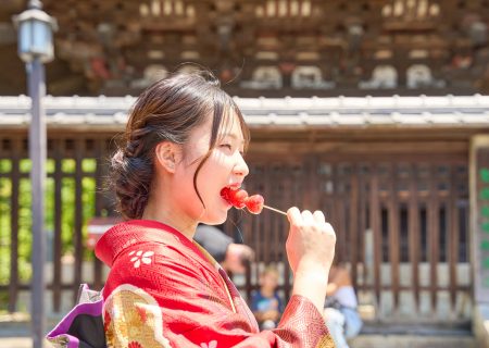 紅葉に誘われて京都散歩