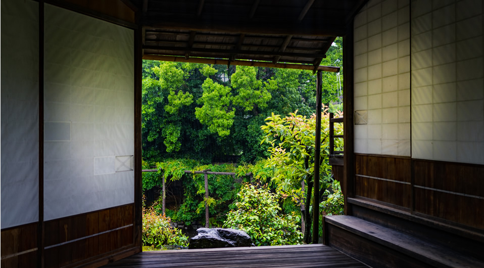 Nara in Kimono rental | Experience Japan through Tea Ceremony Activities｜Blog / Experiences