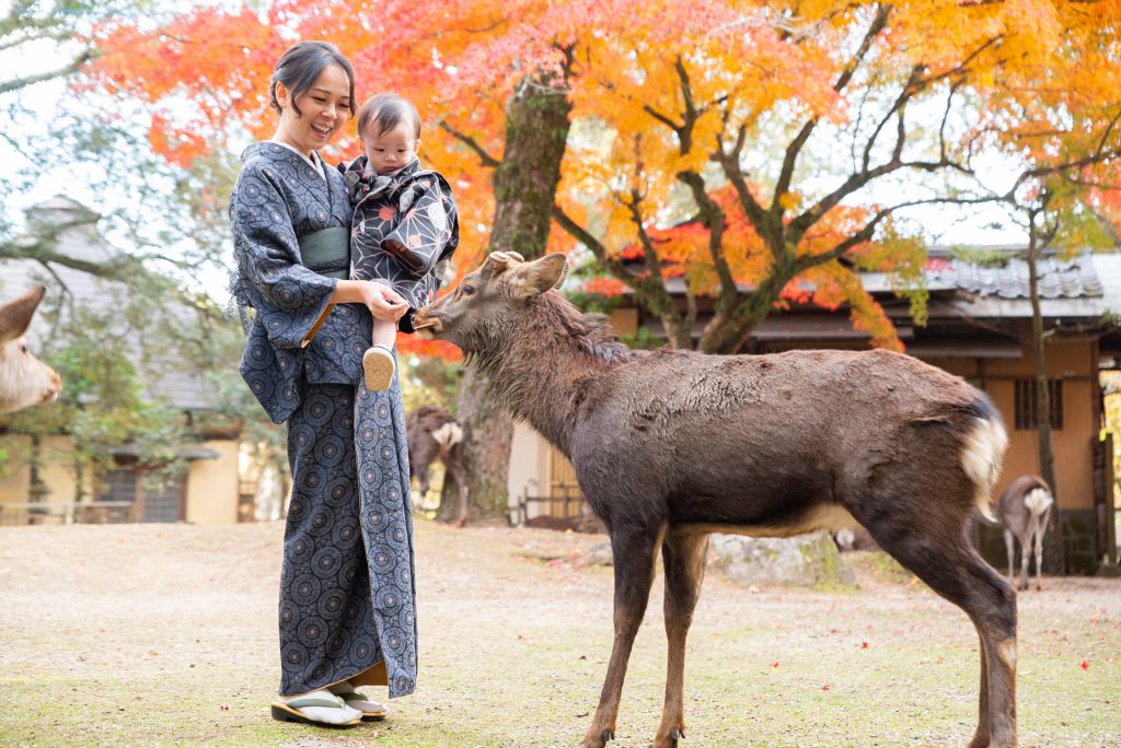 Nara in Kimono rental | Experience Japan through Tea Ceremony Activities|【Kimono Rentals Start in October❣❣】 Now Accepting Reservations for Autumn & Winter Kimono 👘