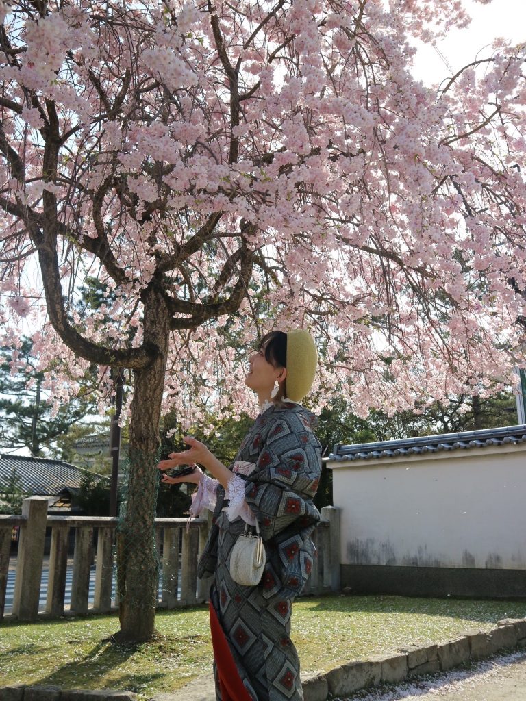 Nara in Kimono rental | Experience Japan through Tea Ceremony Activities｜We recommend booking your location shoot early📷🌸