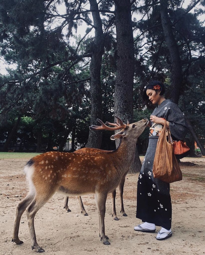 Nara in Kimono rental | Experience Japan through Tea Ceremony Activities｜If you want to rent a kimono in Nara, the closest place to Nara Park is ”Waplus Nara, Nara Park Bus Terminal Store”👘🦌　