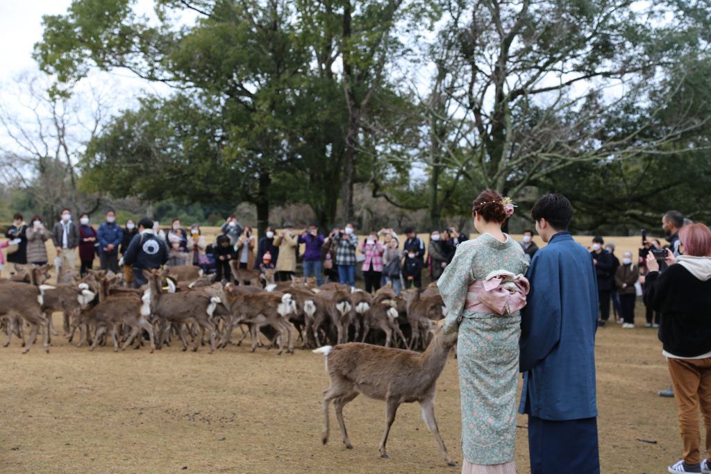 Nara in Kimono rental | Experience Japan through Tea Ceremony Activities｜【Near the Nara station, right in front of Nara Park】Convenient for sightseeing! If you want to rent a kimono in Nara, we recommend “Waplus Nara Nara Park Bus Terminal Store” 👘