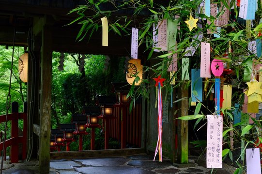 Nara in Kimono rental | Experience Japan through Tea Ceremony Activities|Blog / Experiences