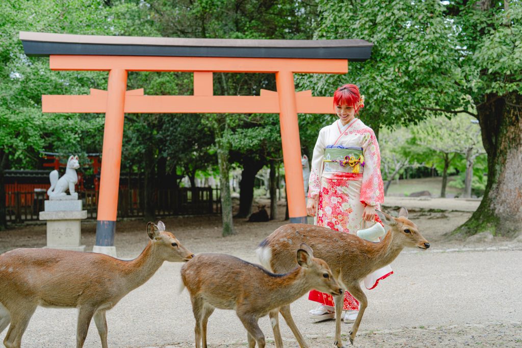 Nara in Kimono rental | Experience Japan through Tea Ceremony Activities|Kimono Trip for Nara’s Hatsumode & Saisaki-mode⛩: Winter Kimono Rental at Waplus Nara👘