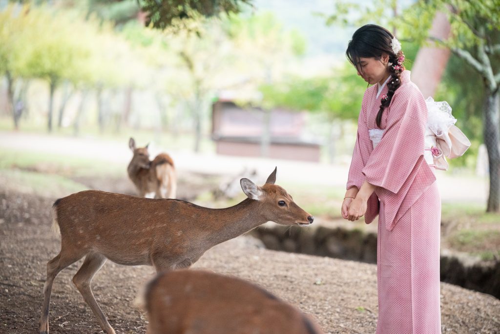 奈良で 着物レンタル 和文化体験 ロケーション撮影｜わぷらす奈良｜❄冬の奈良旅🦌✨ 東大寺〜二月堂を着物で巡る“しっとり冬さんぽ”👘❄