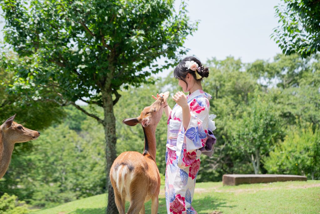 奈良で 着物レンタル 和文化体験 ロケーション撮影|わぷらす奈良|🌿【奈良公園すぐ】着物レンタルで初夏散策👘✨浴衣レンタル6月スタート🎐